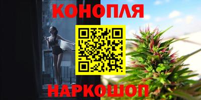 хмурый Гай
