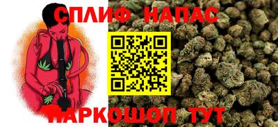 мдпв Гатчина