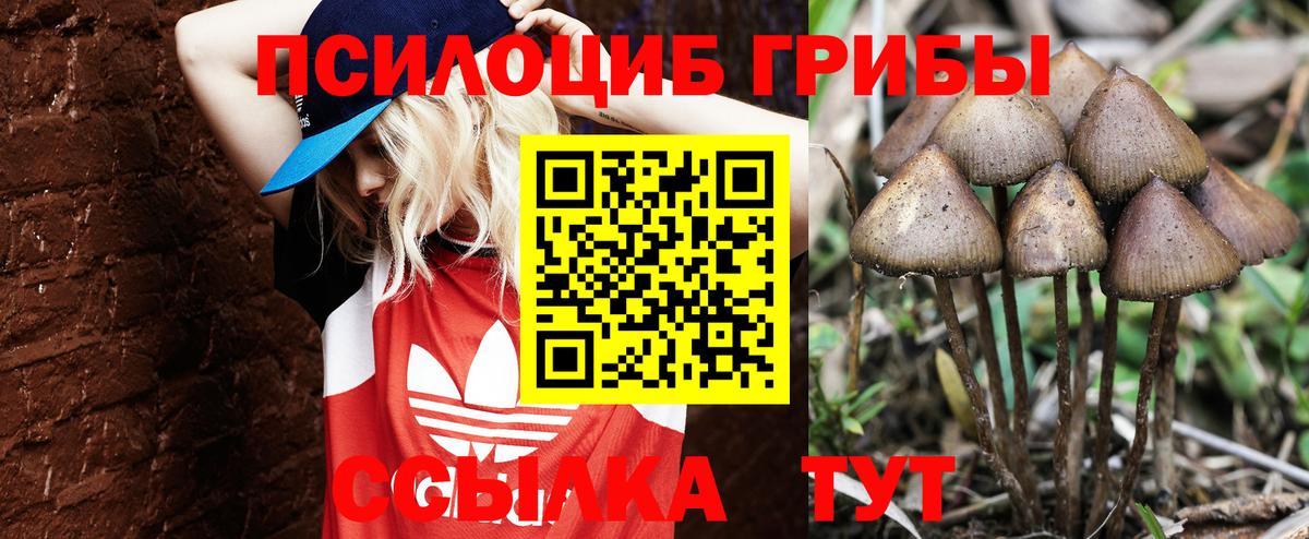 Галлюциногенные грибы мухоморы Липецк