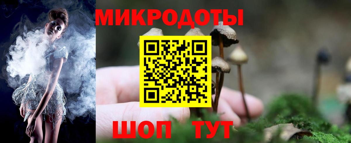Псилоцибиновые грибы Psilocybine cubensis  Псилоцибиновые грибы Psilocybine cubensis  Вход с VPN  Липецк 